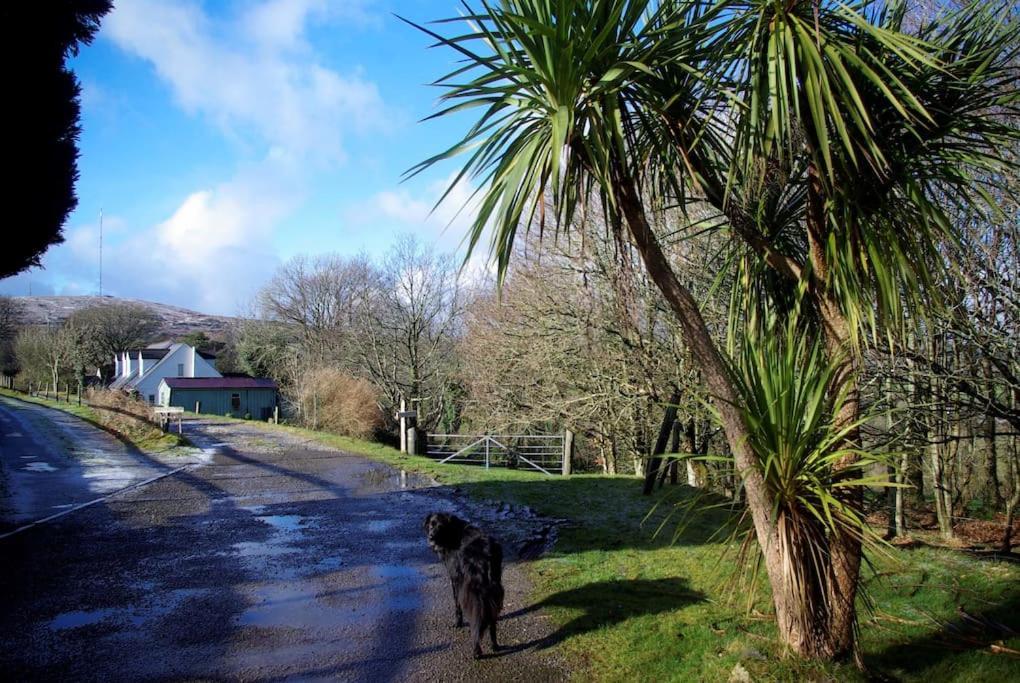 Cargibbitt Annexe Villa Liskeard Exterior photo